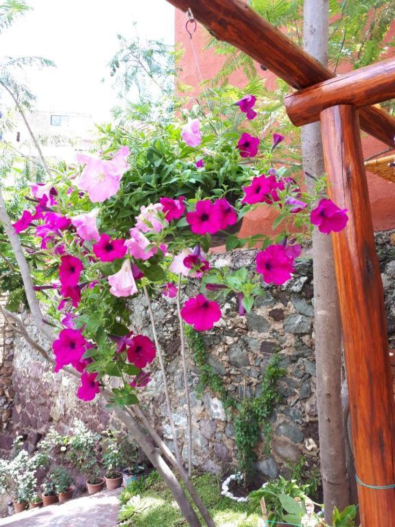 גואנאחואטו Casita Privada Del Chan מראה חיצוני תמונה
